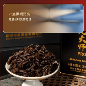 S009/2025 Liubao Tea Grandmaster PRO (80g)